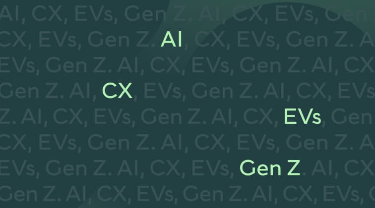 CC 173 Insights Thumbnail